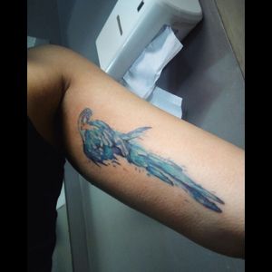 Blue arara. #brazilian #bird #watercolor