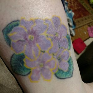 It's suppose to be an African violet but needs to be redone...it's not right