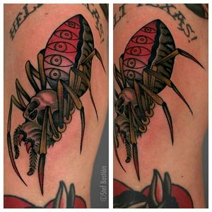 Spider knee by @stefbastian For info or bookings pls contact us at art@royaltattoo.com or call us at + 45 4902770#royal #royaltattoo #royaltattoodk #royalink #royaltattoodenmark #helsingørtattoo #ElsinoreInk #spider #knee #kneecap #traditional #color #arakno
