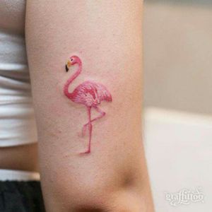 Love flamingos