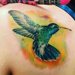 Hummingbird tattoo Color tattoos #colortattoos #colortattoo #nashvilleinktattoo #nashvilletn #hummingbirdtattoo #tattoos #upperbacktattoo #hyperealism #photorealism #photorealistic #therosetattoo #bird #birdtattoo #tattooartist #tattooart #tattooshop #TattooGirl #thebesttattooartists