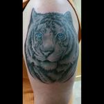 White lion tattoo #blackandgrey #realistic #photorealistic #hyperrealism #nashvilleinktattoo #nashvilletn #nashville #tattoo #therosetattoo #tattooartist #tattooart #tattooshop #thebesttattooartists #tattooedwoman #tattooedwomen #tiger #whitetiger #tigertattoo #whitetigertattoo #followmeto #follow #followme #like