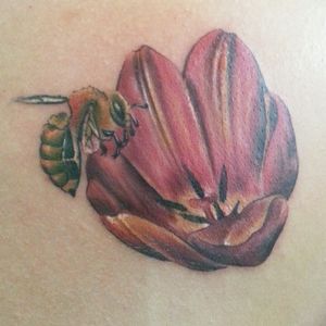 #tulip #honeybee