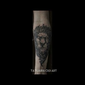 Tatuador Jimi Rocha #tattoo #tatuagem #liontattoo #lion #leão #leaotattoo #tatuadoresbrasileiros #tatuagembrasil #saopaulo #saopaulotattoo #zonalestetattoo