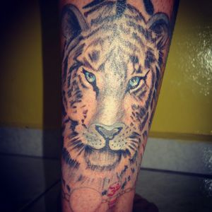 Tigre para o Dimitri, grata pela escolha! #tiger #tigretattoo #tattooartist #tattoo #blueyes #skinwork #tattoobrasil #robertamarela #arttattoo  #TatuadoraBrasileira
