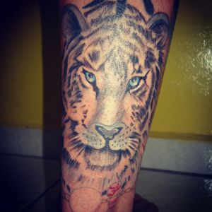 Tigre para o Dimitri, grata pela escolha! #tiger #tigretattoo #tattooartist #tattoo #blueyes #skinwork #tattoobrasil #robertamarela #arttattoo #TatuadoraBrasileira