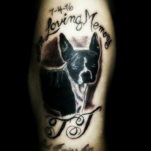 Follow me #tattooing #whysoserious #batman #tattoo #bngtattoo #blackandwhite #tattoos #harleyquinn #tattoodo #art #joker #bngsociety #dc #suicidesquad #inked #inkstagram #ink #inklife #tattoolife #tattoolove #tattooart #tattooartist #tattoomagazine #inkedmag #tattooflash