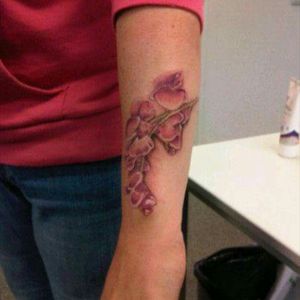 Pink Orchid done by @JoeyBoon