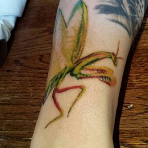 Praying mantis to help continue the metal gear solid theme #tattoo #tattoos #tattoosleeve #tattoosleeves #prayingmantis #mantis #metalgear #metalgearsolid #psychomantis #newtattoo #newtattoos #colortattoos #playstation #ps #psone