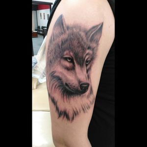 Thanks for looking!! #realistic #blackandgrey #wolf tattoo  #workinprogress