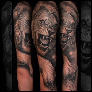 I want this sooooo bad. Have been wanting to get an amazing lion half sleave for about 6 years but haven't had the money to do so :(#megandreamtattoo