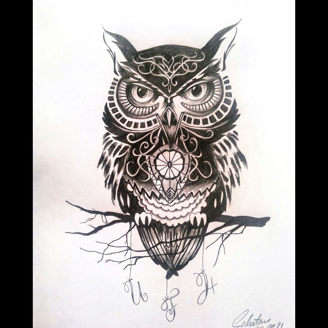 Barn owl Tattoo Drawing Bird owl animals branch fauna png  PNGWing