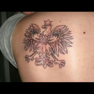 Polish Eagle by Steve Forster at Mark of Excellence