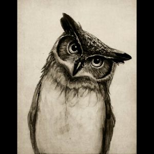 This owl means the world for me. Already saving some time to get this done. How cool would it be to get this first tattoo in US by #meganmassacre #meganmassacre #usa #onlyonewaytostartalegsleeve