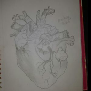 My anatomical heart sketch.