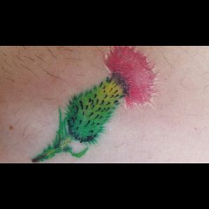 Scottish Thistle by Tim at Tony's tattoos. #thistle #flower #forearm #ScottishThistle