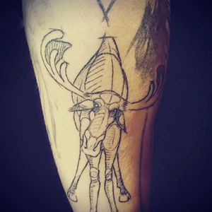 Moose tattoo; thank you Aaron Wagner!