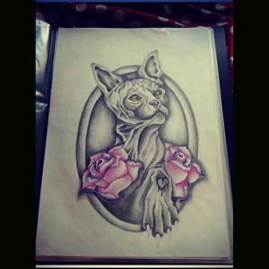 One of my dream for a first tattoo, it need some changes but i love ... Drawed by a friend ;)#megandreamtattoo #catlover #gothictattoo