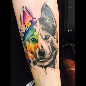 Watercolour Husky to join my watercolour lioness#megandreamtattoo