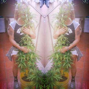 #cannabis #smokinggirl #weed #stonertattoos #high #smokeweed #blondie #Colombian #suicidegirl