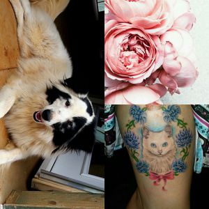 #megandreamtattoo    It would be a portrait of my dog with peonies surrounding her as a border. I would like a crown on top and a bow at the bottom. The tattoo shown is on my right leg and I want one of my dog on the left though to match it. Honestly this is my dream tattoo. Getting a tattoo by Megan is one of the top things on my bucket list and I've always had this idea for it. It would be a dream come true to win.