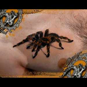 Done with Cheyenne Hawk tattoo machine. Hope you like it.  #tattoo #spider #realistic #spidertattoo #chesttattoo #realisticspider #photorealism #3dtattoo #customtattoo