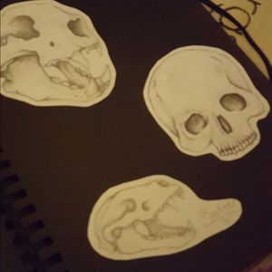 Some skull work i was working on