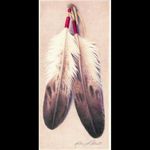 Eagle feathers connected with the Indians had a very big meaning for my grandfather until he got Alzheimer's.Instead of his memory, I want to use my body as a reminder.#megandreamtattoo #indians #eaglefeathers
