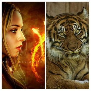 My idea is a beautiful woman reclining with her tiger in the evening with fireflies. #megandreamtattoo