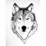 #wolf #wolftattoo #tattoo #beautiful