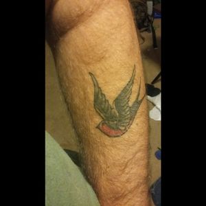 Swallow by AJ Brooks at Gypsy Rose Tattoo in Jacksonville, NC #sailorjerry #sailorjerryflash #gypsyrosetattoo #jacksonvillenc