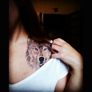 #Wolf #Lobo #alpha