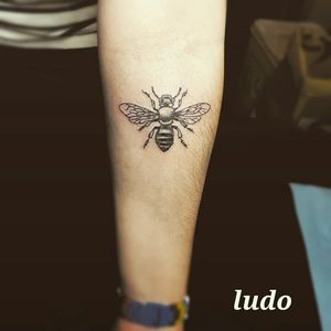 #bee #tattoo #hellstrawberryinskin #medusatours