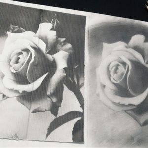 Rose#rose #drawing #draw