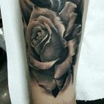 #tattoo #blackandgrey #rose #realistic