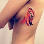#fox  #saturation  #colour  #painful  #pretty