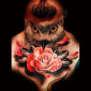 Owl & Rose