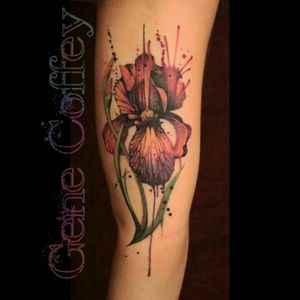 #GeneCoffey #watercolor #iris #flower