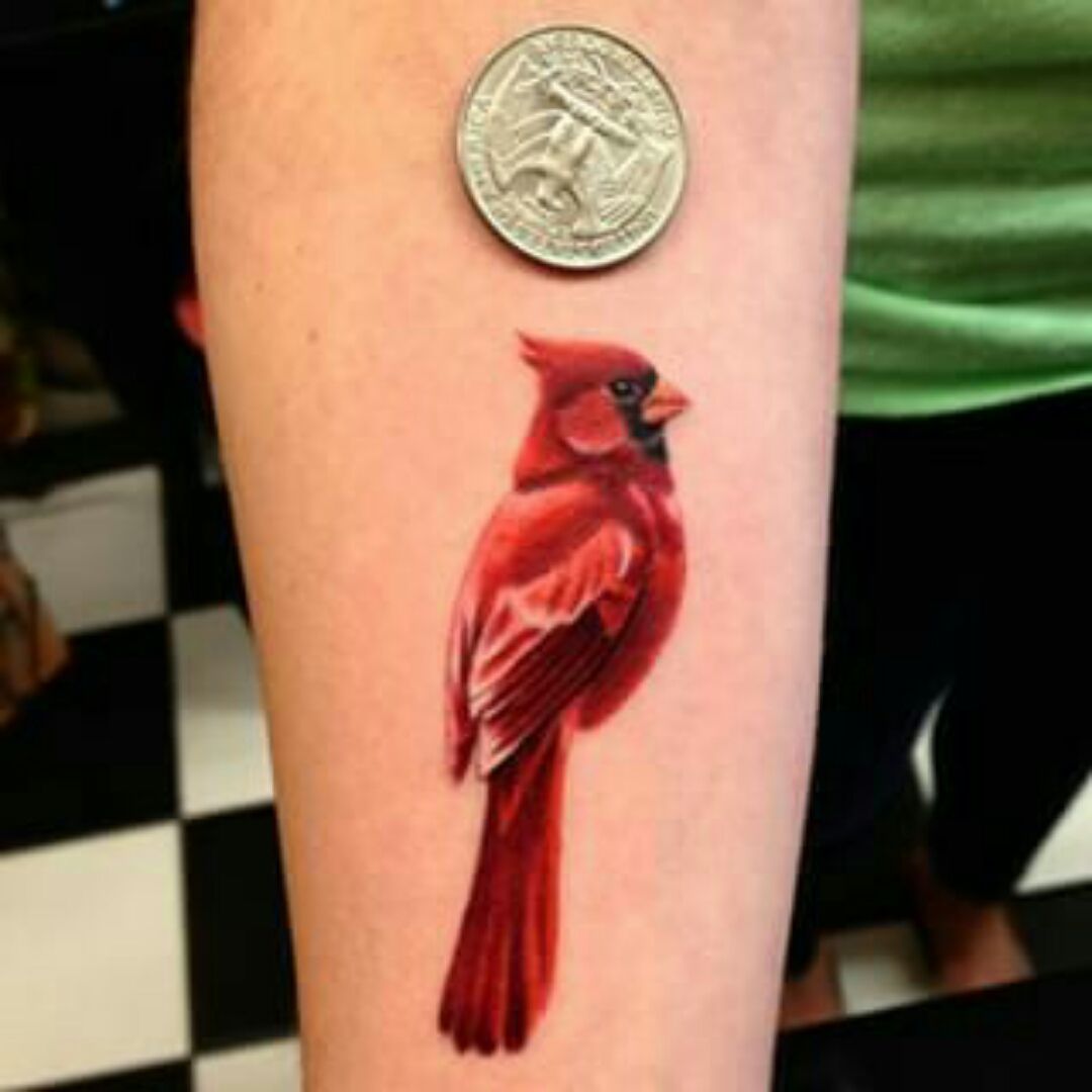 CARDINAL Set of 2 Temporary Tattoos  Symbol of a Passed Loved  Etsy  Cardinal  tattoos Red cardinal tattoos Christmas tattoo