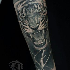 Tiger by Diogo Nunes #tiger