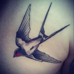 Swallow either side on my chest, one for each of my kids #swallow #swallows #kids