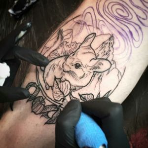 Working on that cute chinchilla i did a while back at the boileroom tattoo studio in Guildford #legtattoo #chinchilla #workinprogres #AlexineTattoo #uktattoo