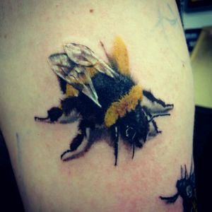 #honeybee #realistic