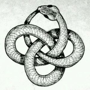 #snake #osboros #small This may work as a center of a mandala..