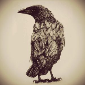 Dream With this tattoo for so long #raven #fristtattoo