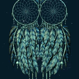 I love dreamcatchers and owls, so what better way to have both
