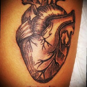 #anatomical #heart #anatomicalheart #real #blackandgrey