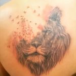 #León #lion #tattoo #srcamaleon #tattoo #salvadorloz