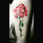 #tattooartist #flower #carnivorousplant #watercolor #FriendshipGoals #CarlaRazza #artist #artworks #fullcolortattoo #inkmaster
