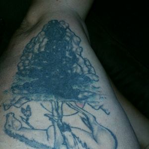 This tattoo I am so ashamed of I don't even like showing my leg.    The really dark area is a cover-up.    This tattoo is suppose to be "The Trail of Tears".   I would love for Megan to fix it up pretty.Thank you Theresa #megandreamtattoo